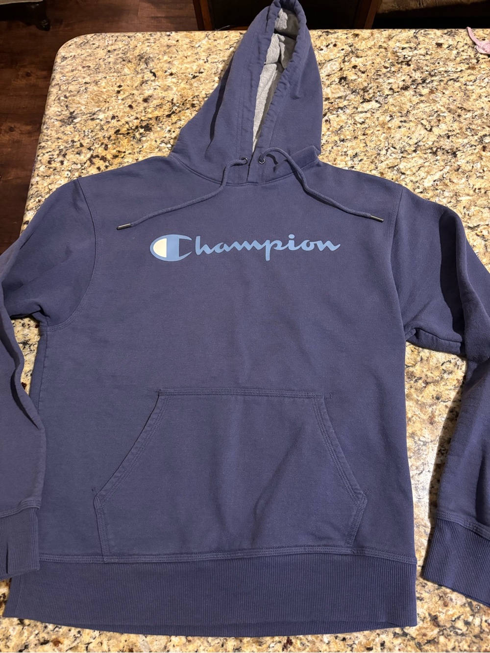 Champion Navy Blue Pullover Hoodie with Light Blue Logo